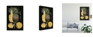 Trademark Global Naomi Mccavitt Graphic Pineapple Botanical Study II Canvas Art - 20" x 25"